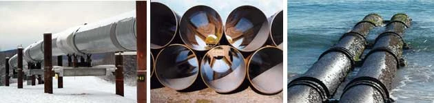 20120213Protegol-1 20120213Protegol-1